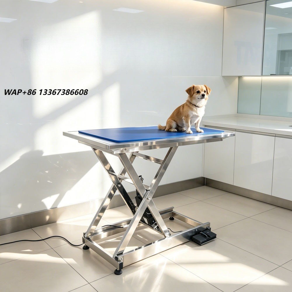 ⚠ AT animal X-ray examination  - огляд і ціна Veterinary X-Ray