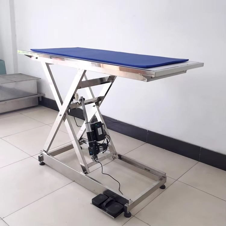 ⚠ AT animal X-ray examination  - огляд і ціна Veterinary X-Ray