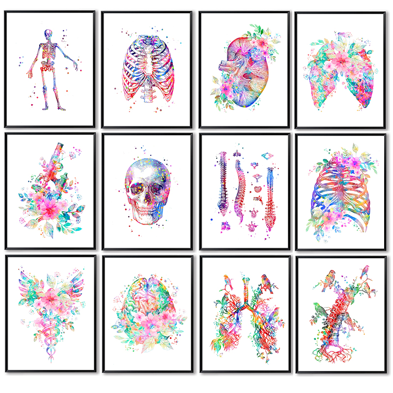 Unframe Anatomy Medical Poster - огляд і ціна Medical Lab Posters
