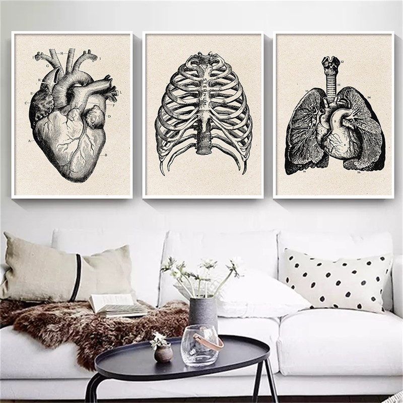 Medical Anatomy Artwork Canvas - огляд і ціна Medical Lab Posters