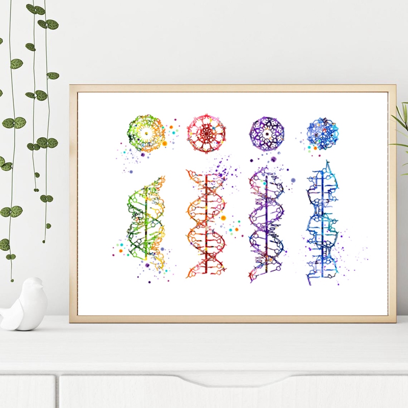 DNA Molecule Print Modern Medi - огляд і ціна Medical Lab Posters